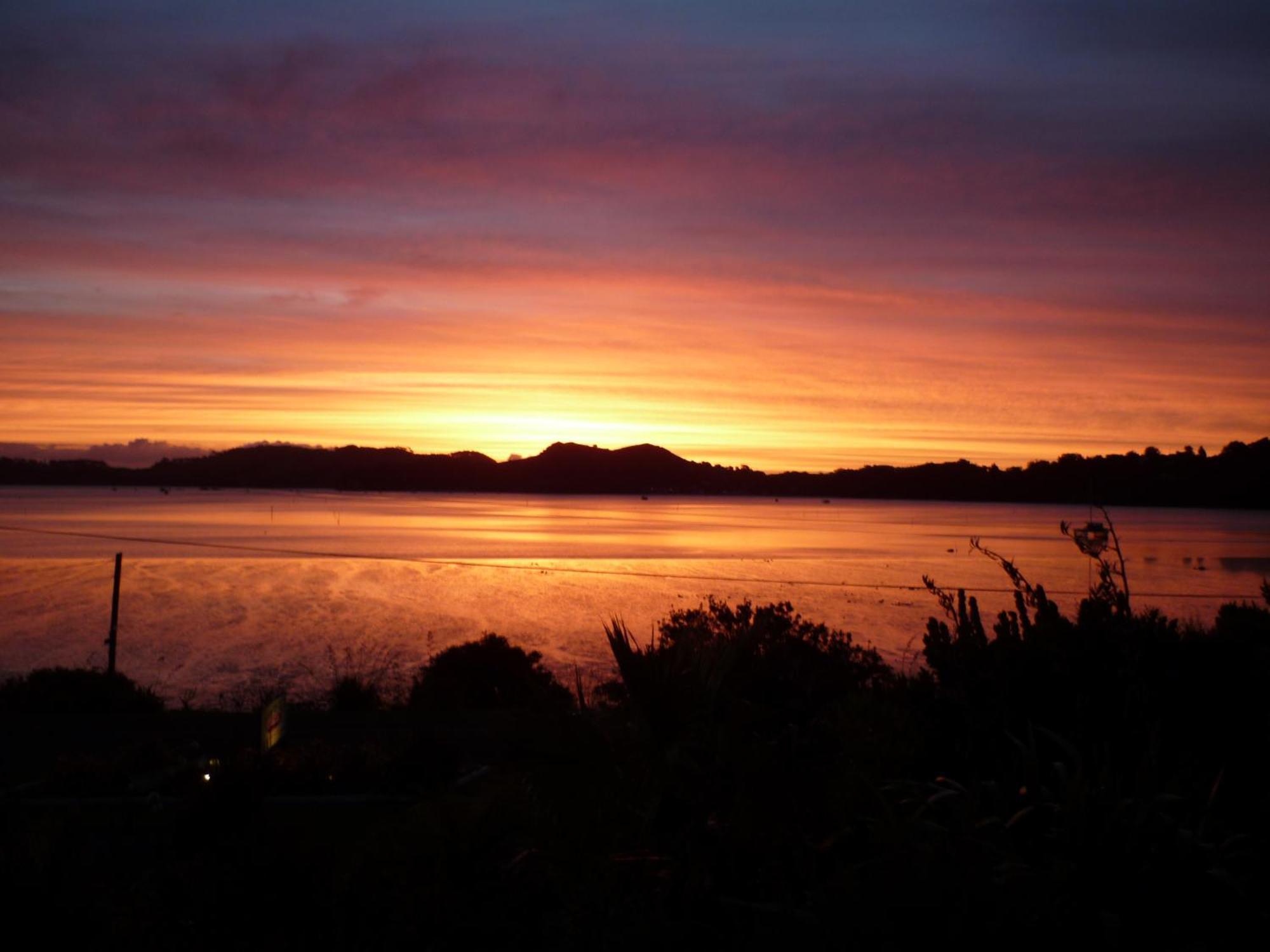 港景汽车旅馆 Coromandel 外观 照片
